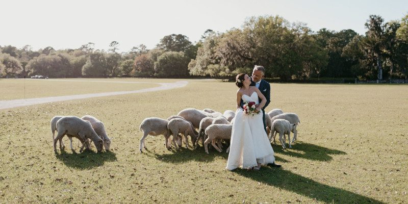 About Cindy Vollertsen Weddings & Events in Charleston, South Carolina