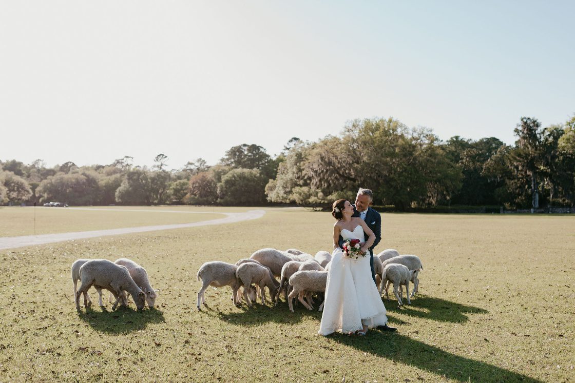 Laura & Tom cvweddingsandevents